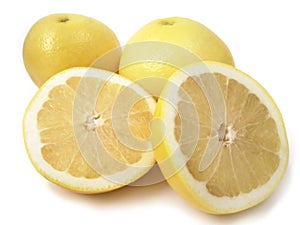 Yellow grapefruit
