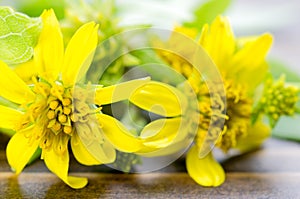 Yellow grass flower on wooden background