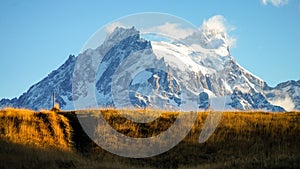 Yellow Grass Meadow with Mountain peak on the Torres del Paine hike in Patagonia, Chile.