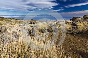 Yellow grass in semidesert with stones and blue sky