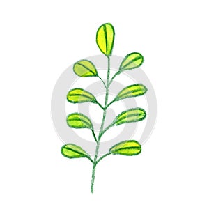 Yellow and green abstract tree isolated element. Hand drawn graphic branches, flowers and leaves. Pencil botanical sketch. Can be