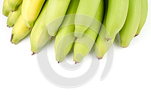 Yellow Green Banana Comp.