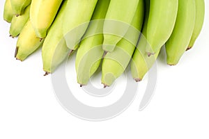 Yellow Green Banana Comp. photo
