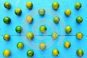Yellow green calamansi, calamondin or philippine lime tropical fruit pattern in bright blue wood background. Asian summer citrus.