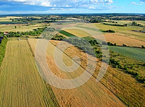 Yellow and green fields of grain and meadow landscape, aerial view