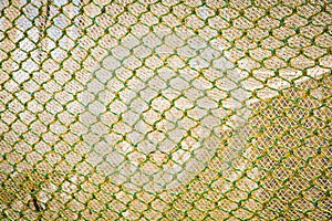 Yellow Green Fish Net