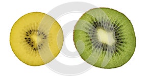 Yellow and green kiwi fruit slice on a white background. Bio fruits.