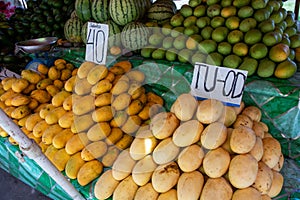 Yellow and green mango pile with species name and price tag on rustic market stall. Asian fruit market stall. Philippine mango