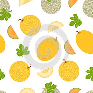 MelonYellow Melon. Seamless Vector Pattern EPS. photo