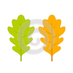 Yellow and green oak leaf vector icon