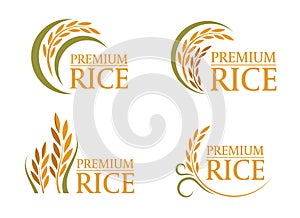 Yellow and green paddy premium rice logo sign 4 style vector design