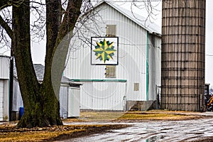Yellow and Green Quilt Barn