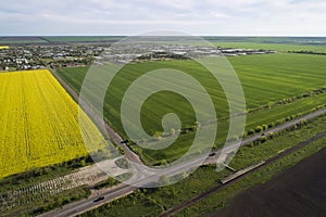 Yellow and green rape fields, aerial view. Ð¡ars go on the road. In the distance is the village