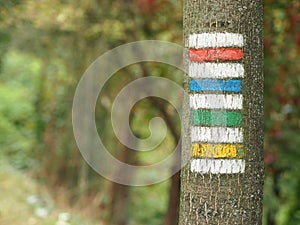 Yellow, green, red and blue tourist signs