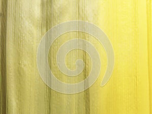 Yellow and Green Silk fabric wallpaper texture pattern background