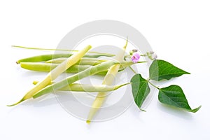 Yellow and green string bean with leaves and blossom isolated