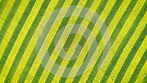 Yellow And Green Stripes On Rural Field Aerial Up And Turning Around Hypnotizing