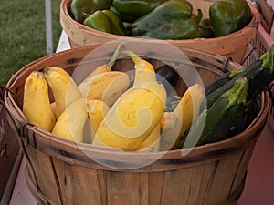 Yellow and Green Summer Squash