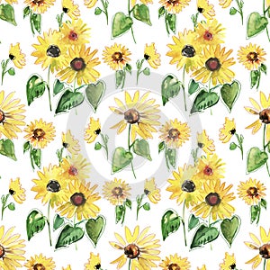 Yellow and green sunflower isolated on the white background. Seamless flower pattern