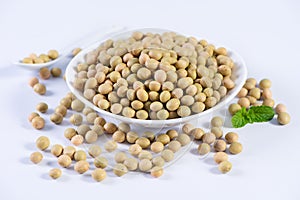 Yellow-green Taiwanese organic non-GMO soybeans