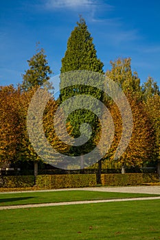 Yellow-Green Trees in the Castle Park with lawn