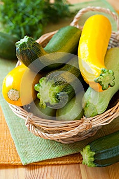 Yellow and green zucchini