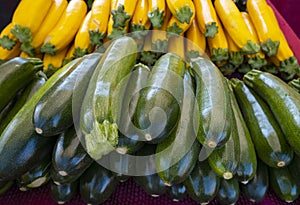 Yellow and Green Zucchini for Sale