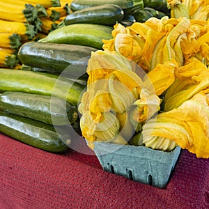 Yellow and Green Zucchini, and Zucchini Flowers for Sale