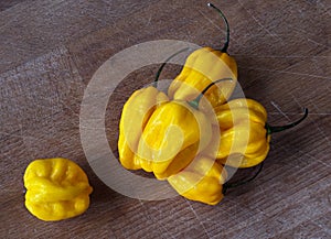 Yellow habanero peppers photo