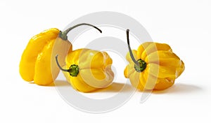 Yellow habanero peppers photo