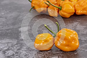 Yellow Habaneros or Scotch Bonnet Peppers Closeup #1