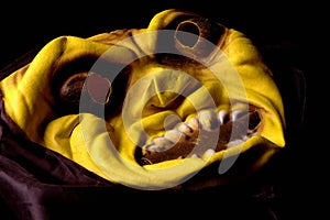 Yellow Halloween mask