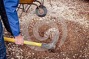 Yellow handled Pick used to loosen a stump for removal