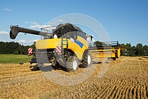 Yellow harvester combine on field harvesting gold wheat