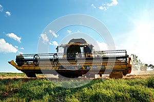 Yellow harvester combine on field harvesting gold wheat