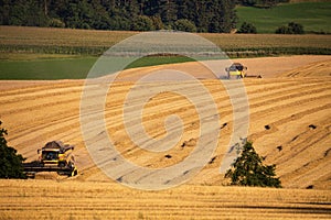Yellow harvester combine on field harvesting gold wheat