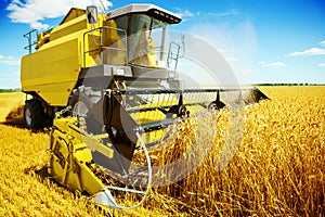 An yellow harvester in work