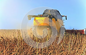 Yellow harvester working on a wheat field. Agronomy, the concept