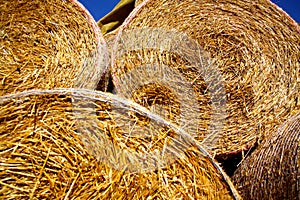 yellow hay bales, close-up view
