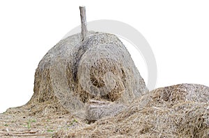 yellow haystack or straw isolated on white background with clipping path
