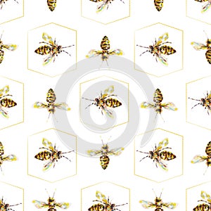 Yellow honey bees in combs on a white background. Acrylic painting. Insects bee art. Handwork. Seamless pattern for design