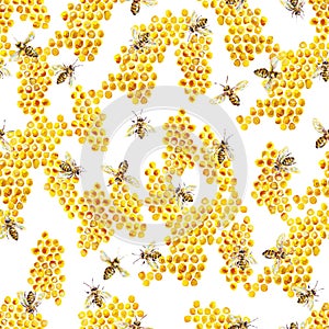 Yellow honey bees in combs on a white background. Acrylic painting. Insects bee art. Handwork. Seamless pattern for design