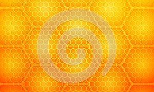 Yellow honey hive honeycombs. Hexagonal cells texture.