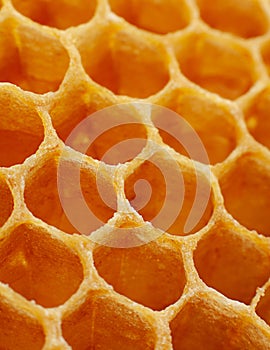 Yellow Honeycomb closeup background