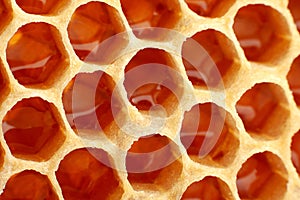 Yellow Honeycomb closeup background