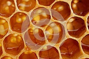 Yellow Honeycomb closeup background