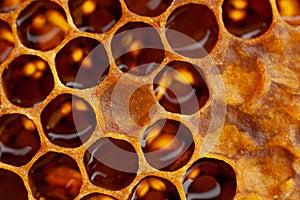 Yellow Honeycomb closeup background