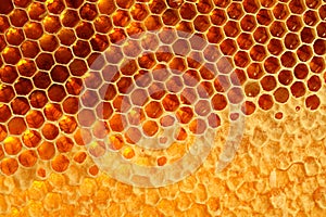 Yellow Honeycomb closeup structure