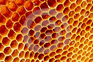 Yellow Honeycomb closeup structure