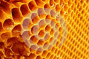 Yellow Honeycomb closeup structure